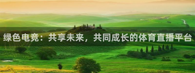 小九直播足球在线观看：绿色电竞：共享未来，共同成长的体育直播平台