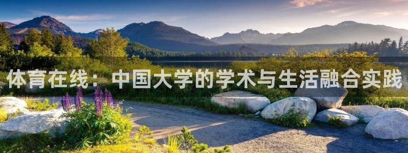 nba直播吧小九直播：体育在线：中国大学的学术与生活融合实践