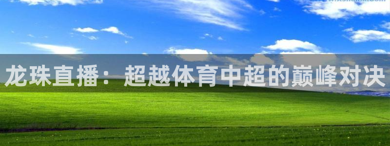 小九直播nba免费观看高清：龙珠直播：超越体育中超的巅峰对决