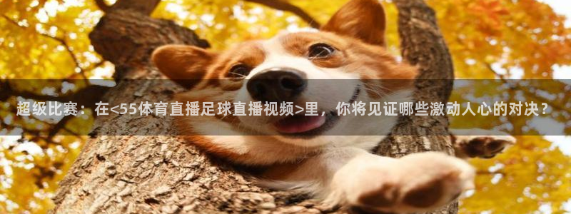足球直播小九直播：超级比赛：在<55体育直播足球直播视频>里，你将见证哪些激动人心的对决？